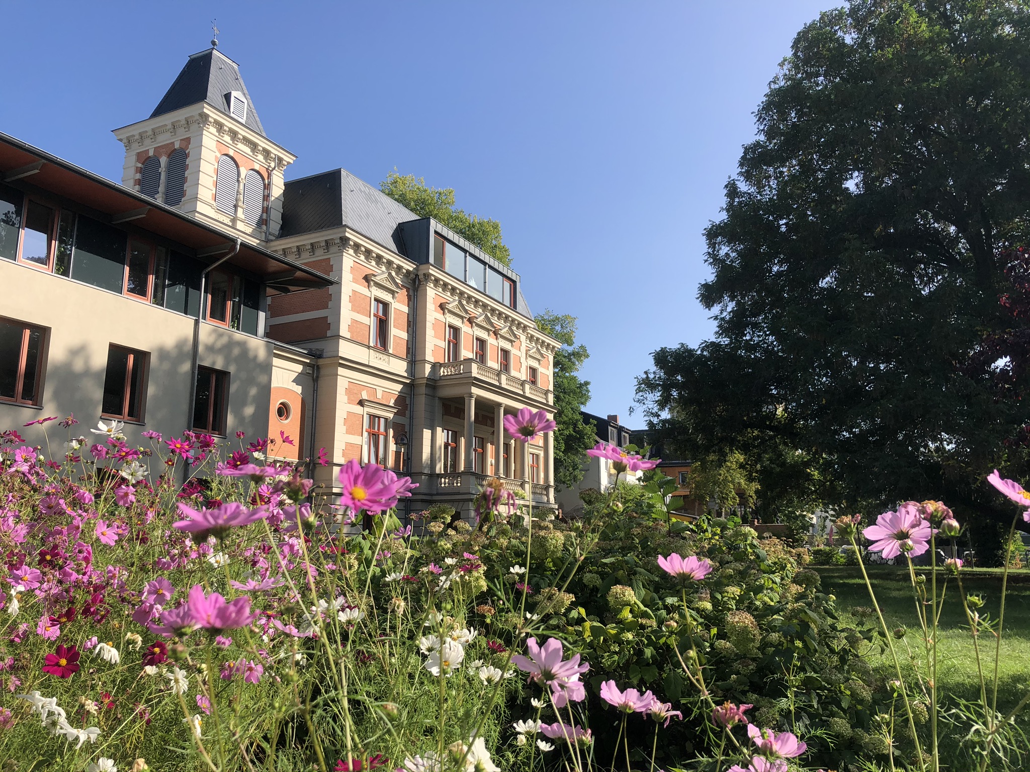 Blick durch Blumenbeet auf das Rathaus