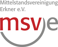 Logo MSVE