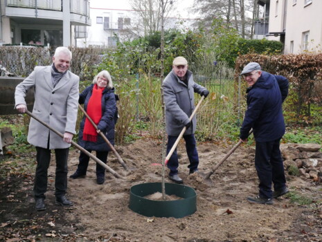 Eine Elsbeere zur Erinnerung
