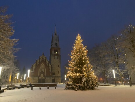 Erkners Weihnachtsbaum steht fest