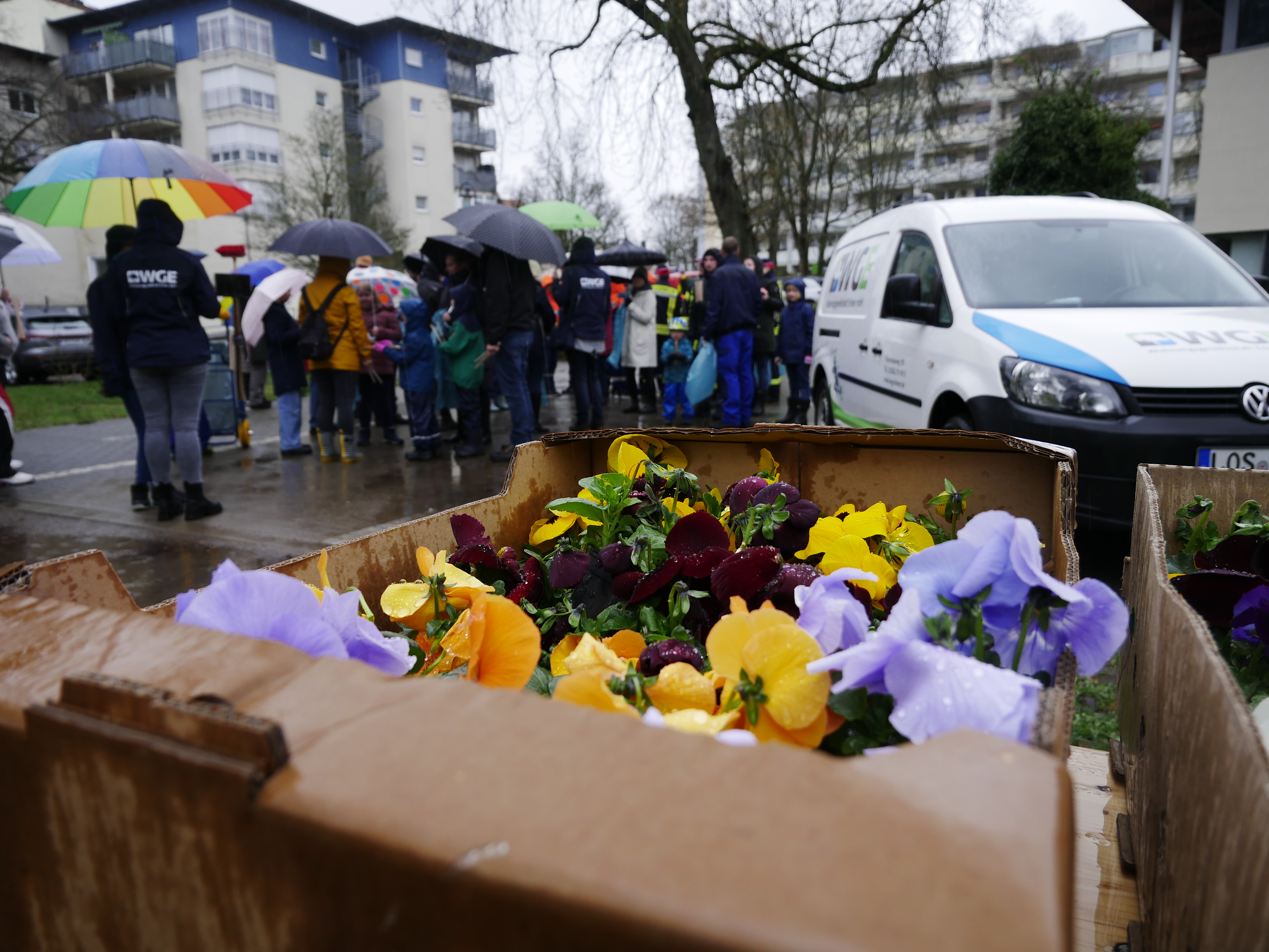 M&uuml;ll sammeln und Pflanzaktion zum Umwelttag 2024