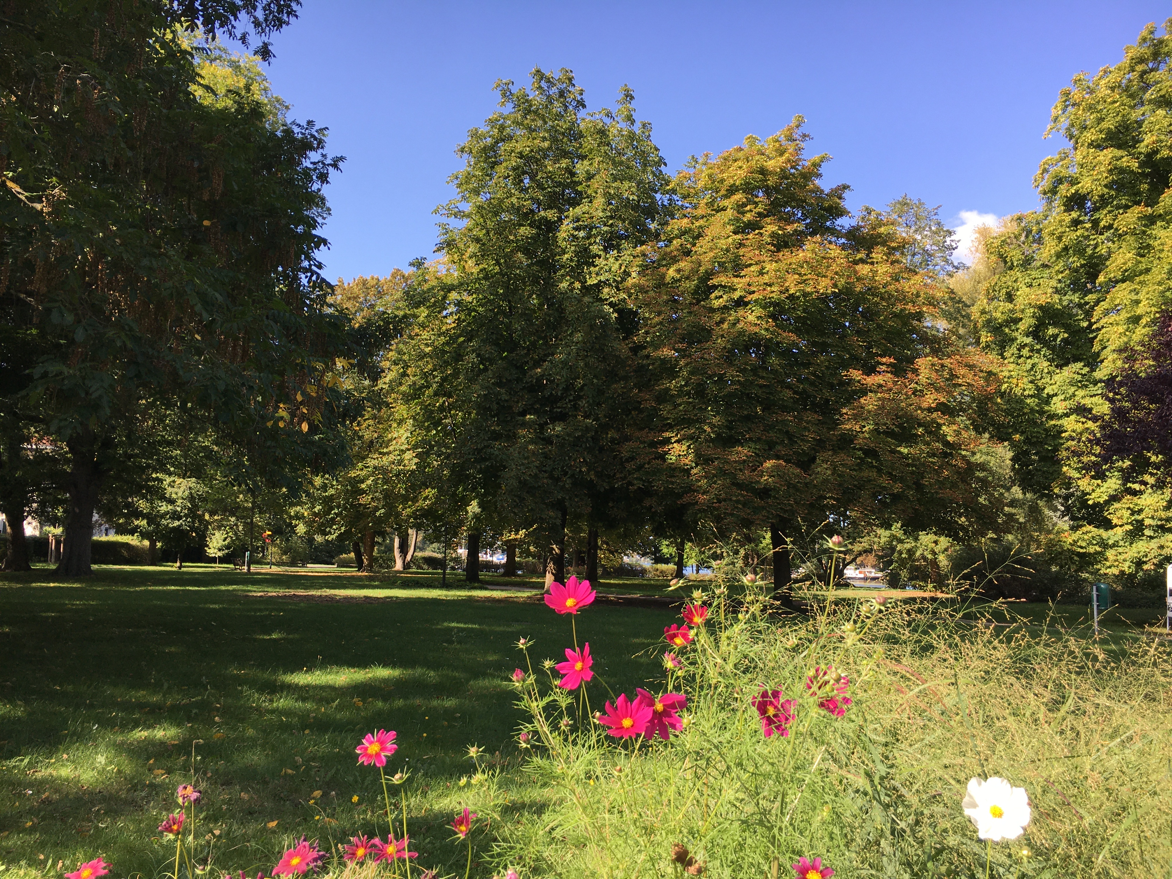 Olaf Hauk &ndash; temporary artist