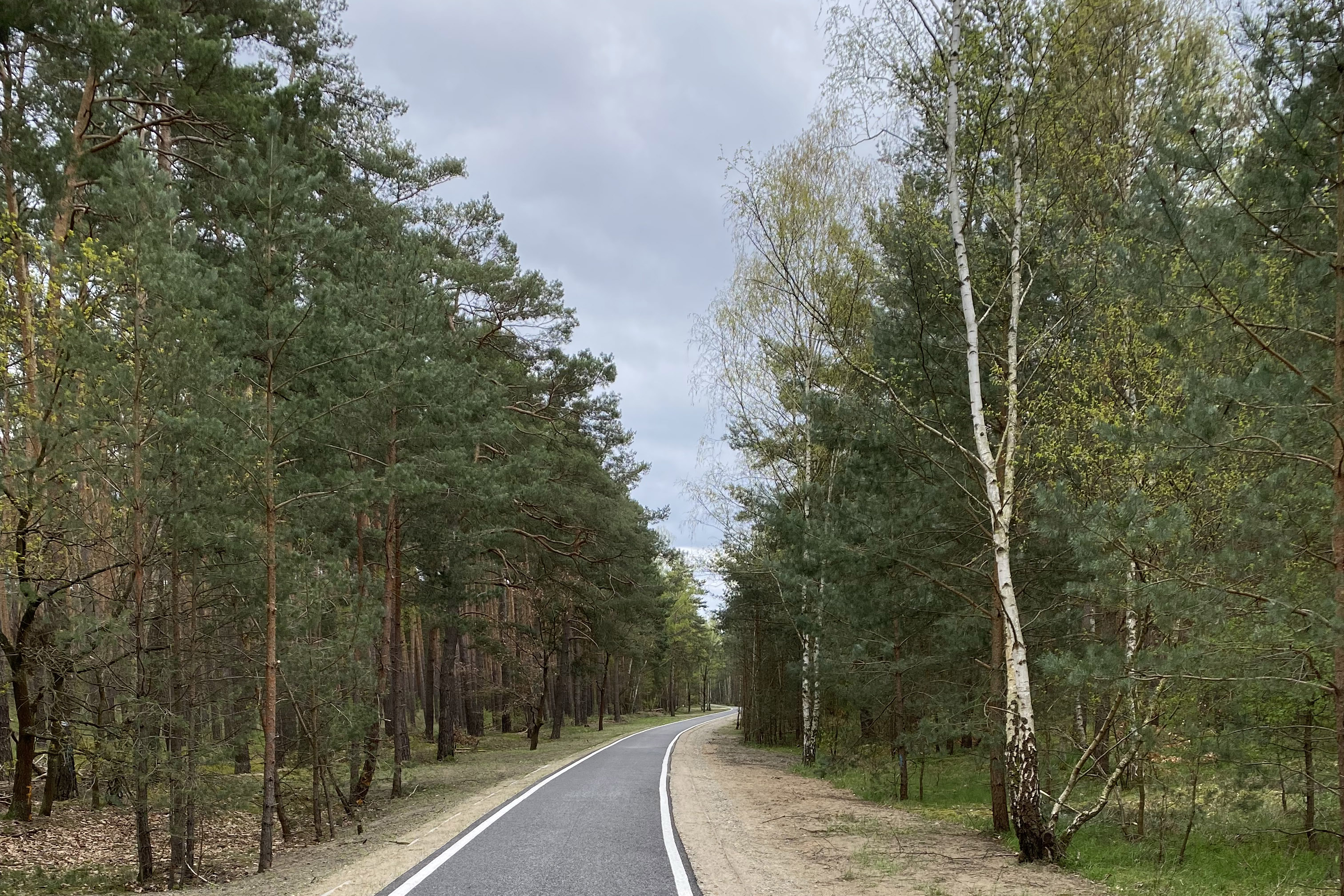 Asphaltierter Radweg auf der Alten Poststraße