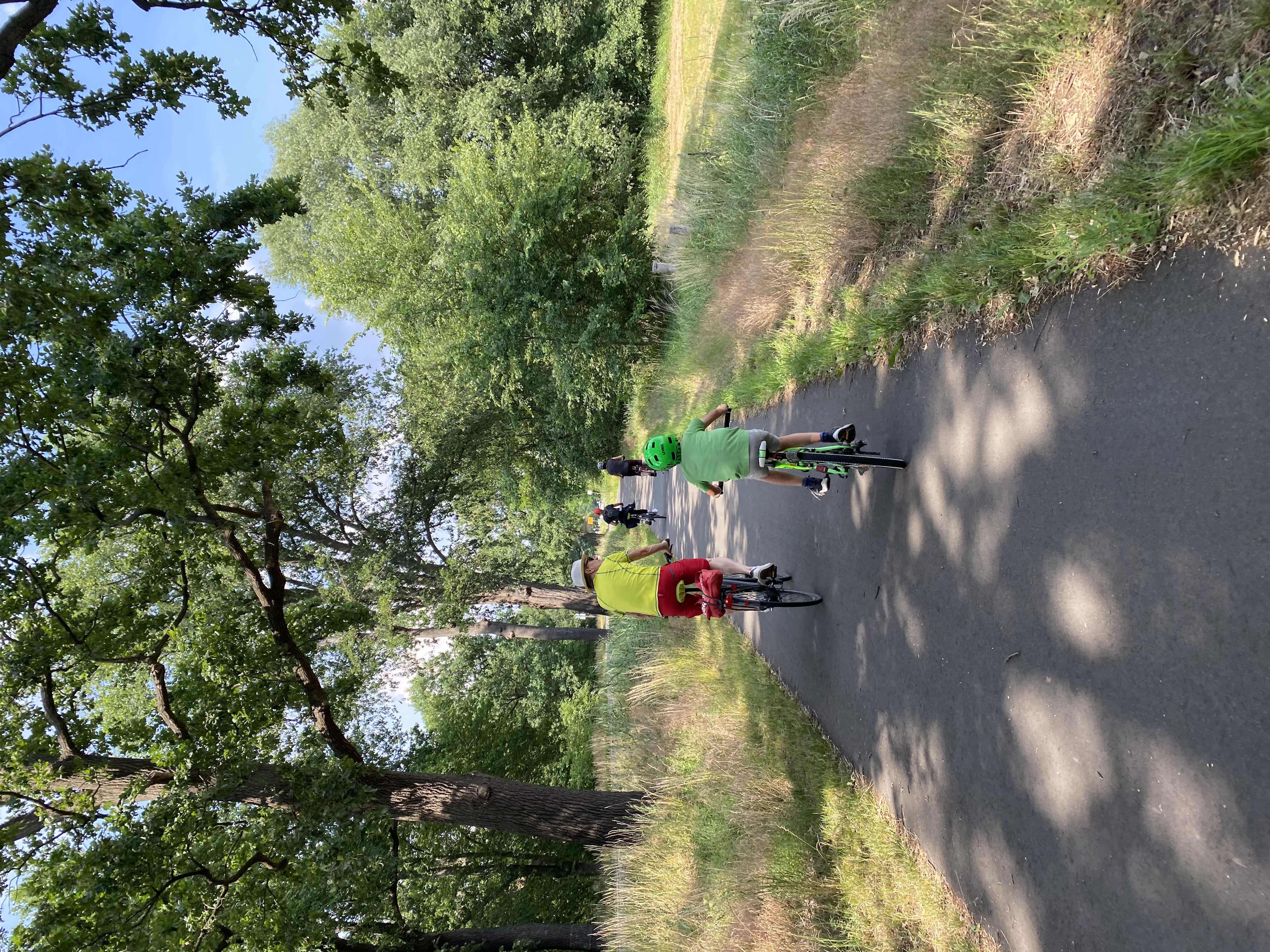 Fahrradfahrer auf Radweg Neu Zittau - Erkner entlang der grünen Spreewiesen