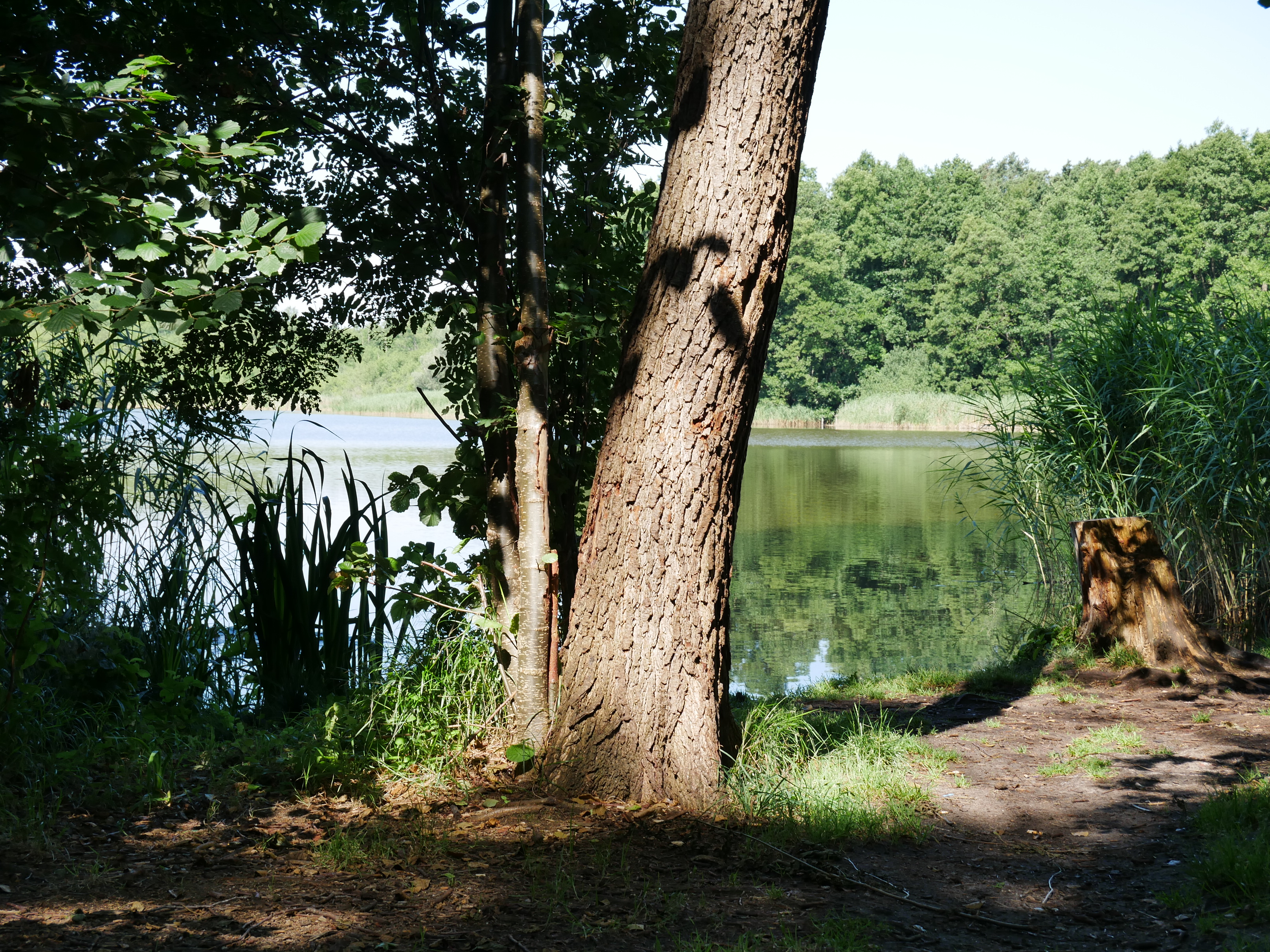 Ufer des Karutzsees