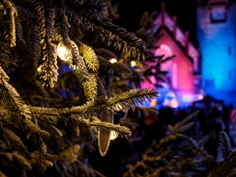 Entsorgung der Weihnachtsbäume