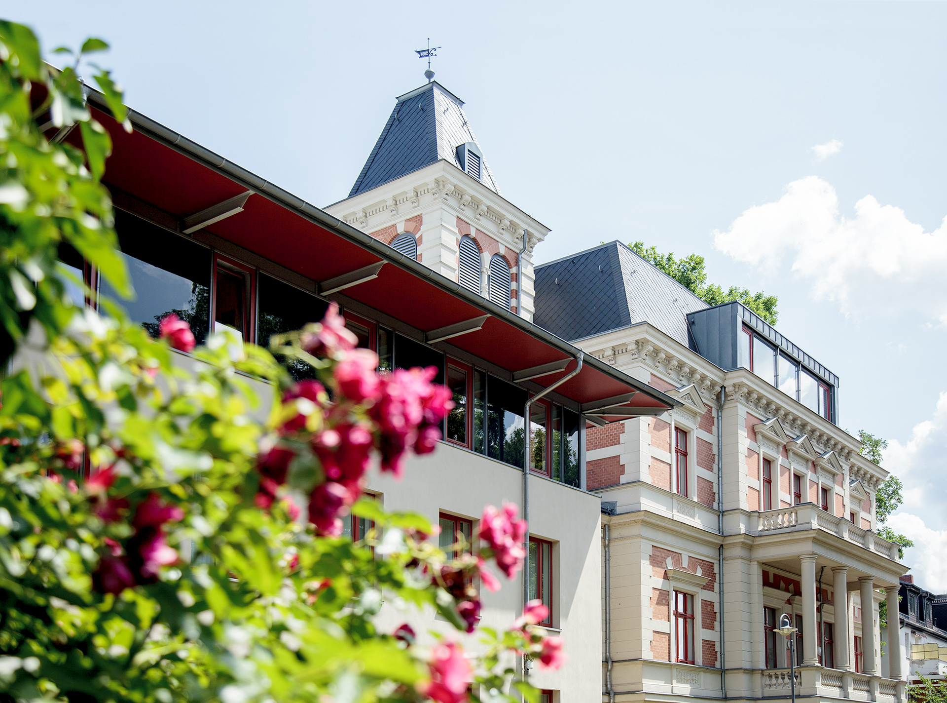 Rathaus und Rosen