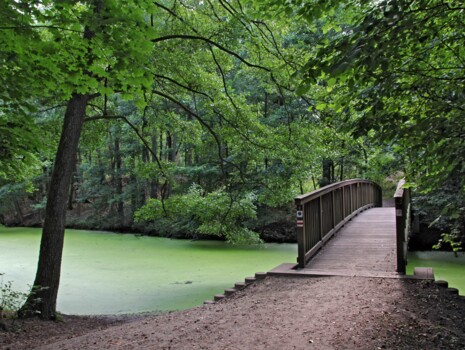 Zentrale Veranstaltung f&uuml;r Waldbesitzende