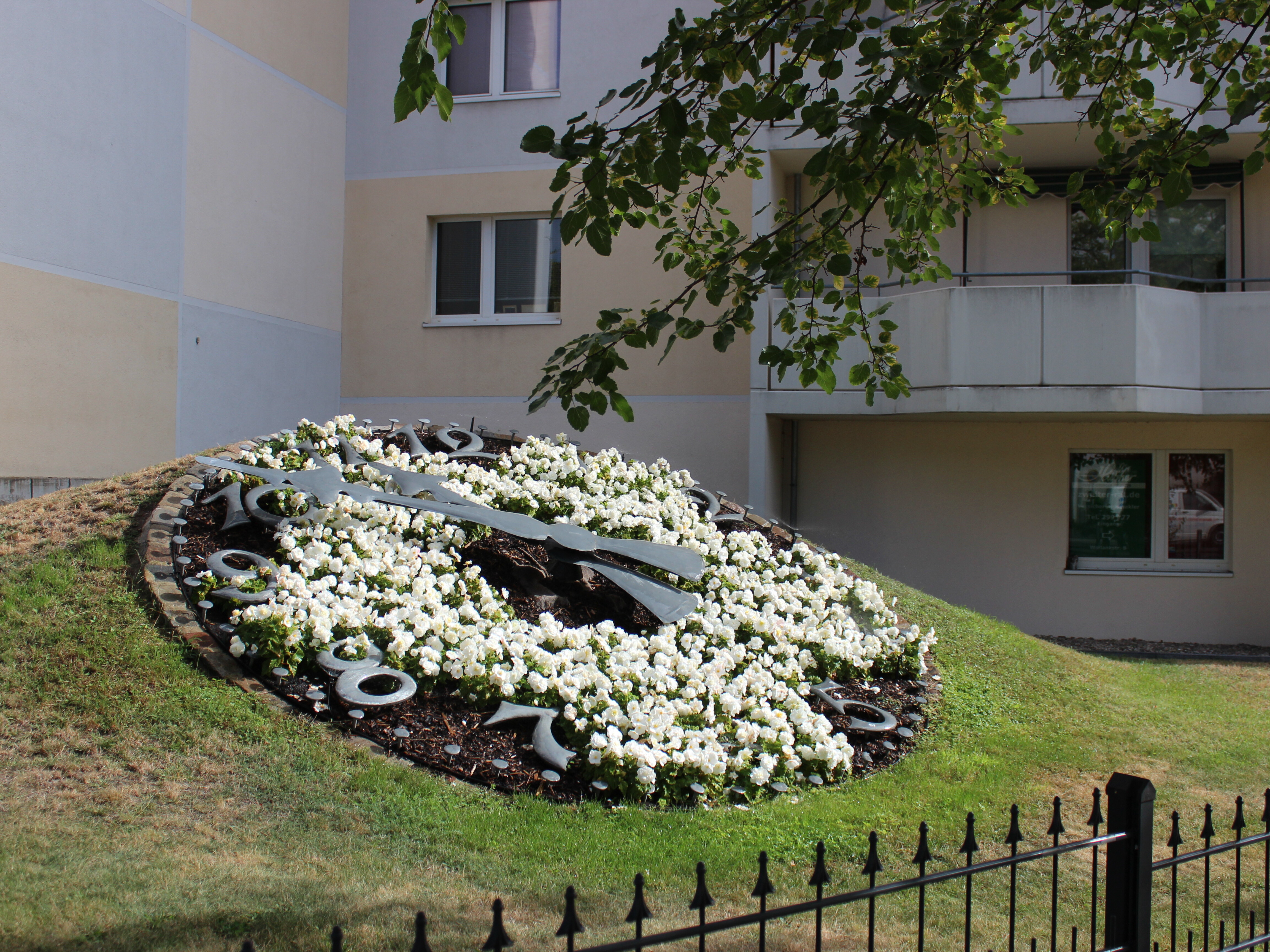 Weiß-bepflanzte Blumenuhr