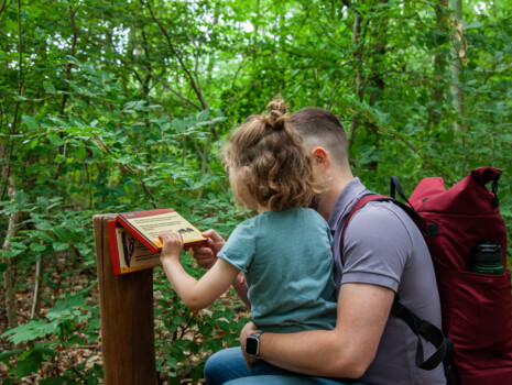 Erneuerungen auf Wupatz' Lehrpfad