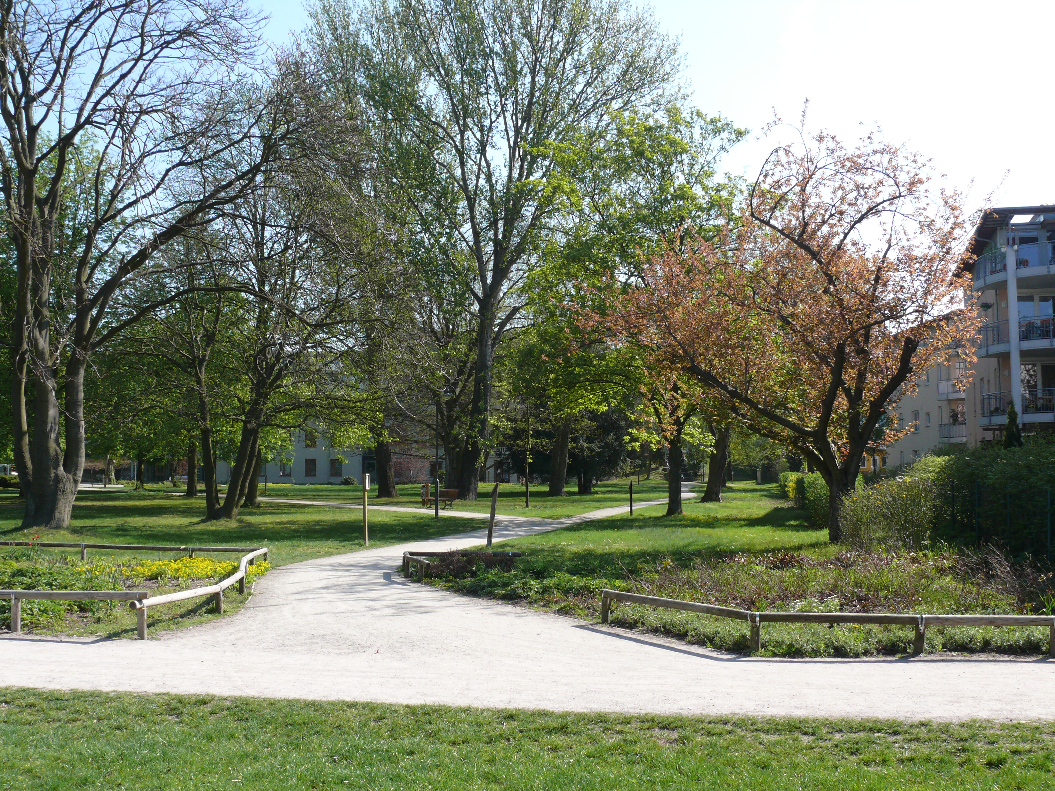 Blick in den Rathauspark