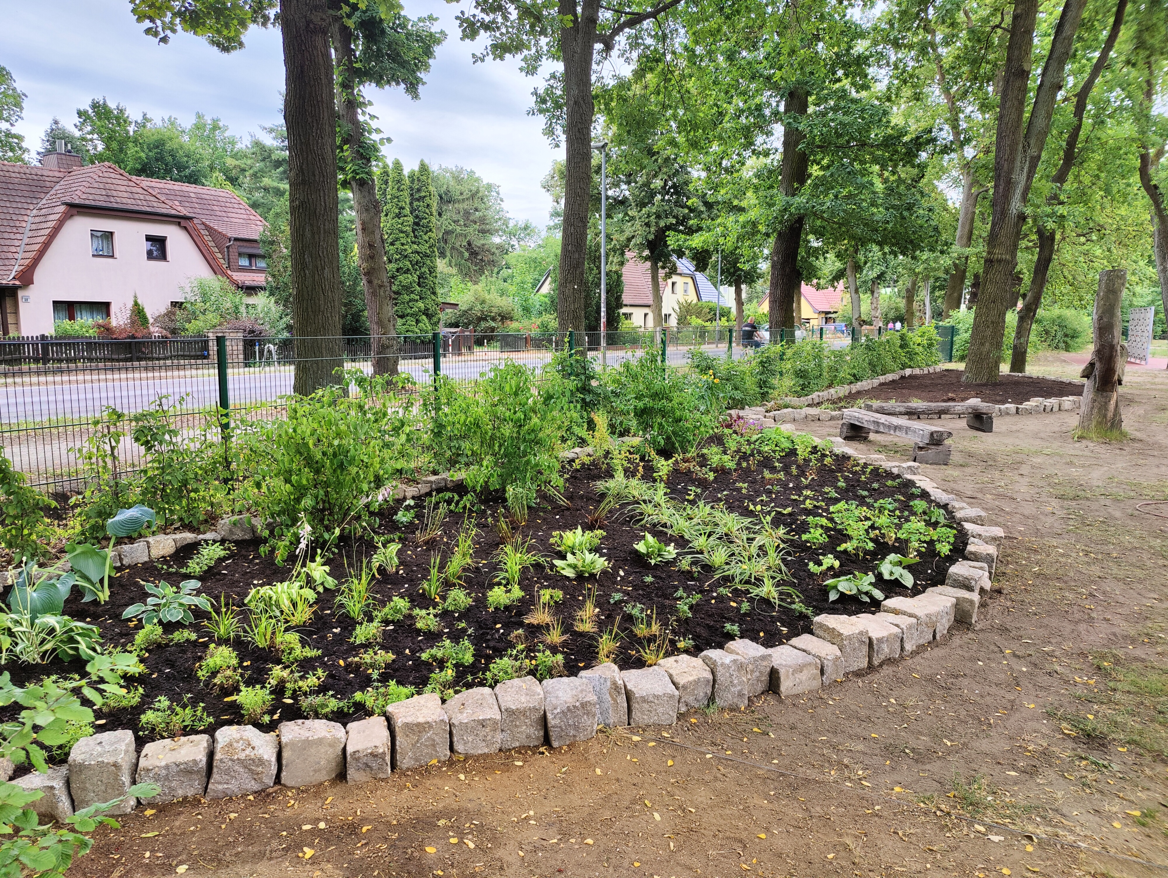 Mit finanzieller und fachlicher Unterstützung der Stadtverwaltung Erkner entstand auf dem Schulhof des Carl-Bechstein-Gymnasiums ein großes Beet Beete CBG