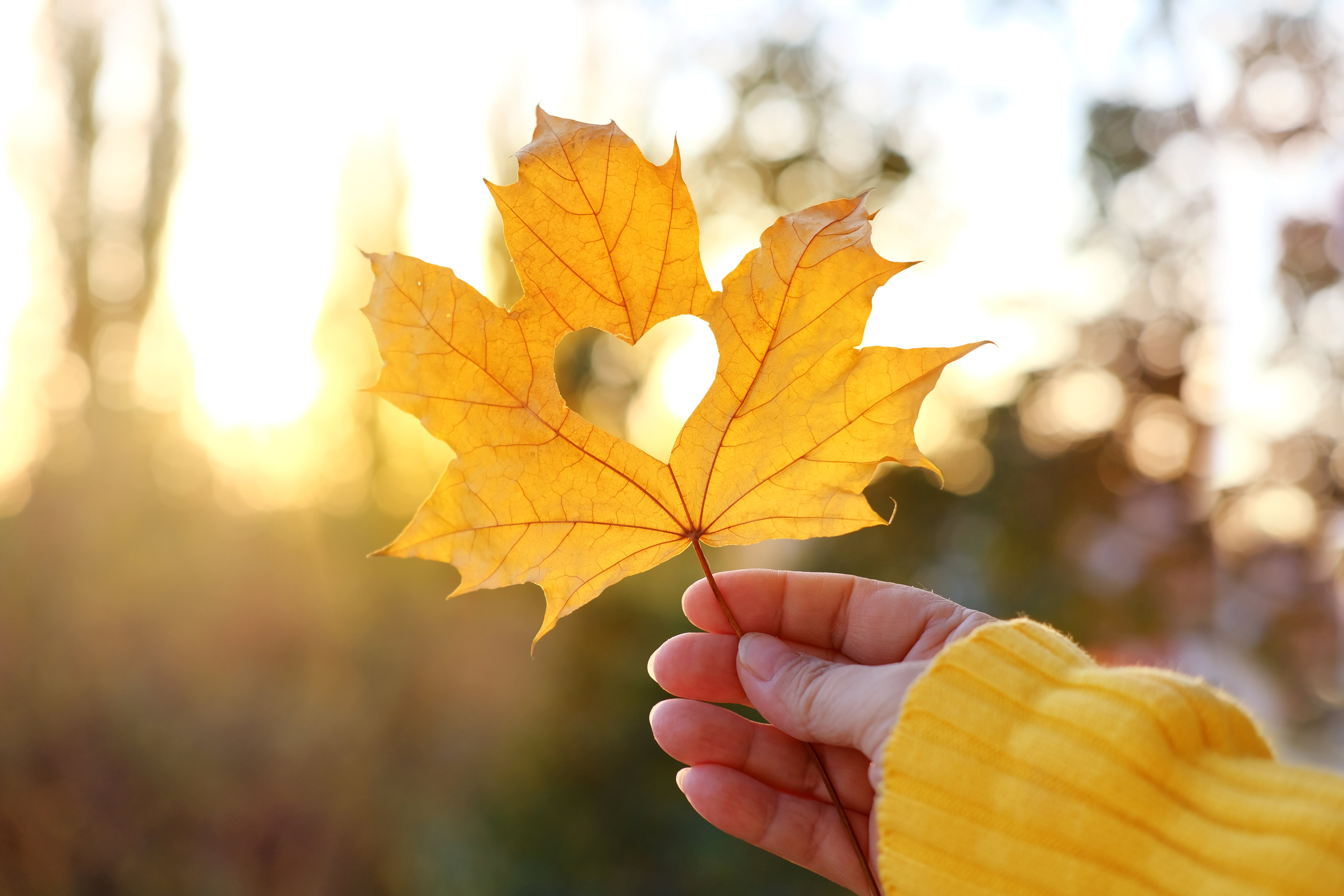 Herbstwanderung
