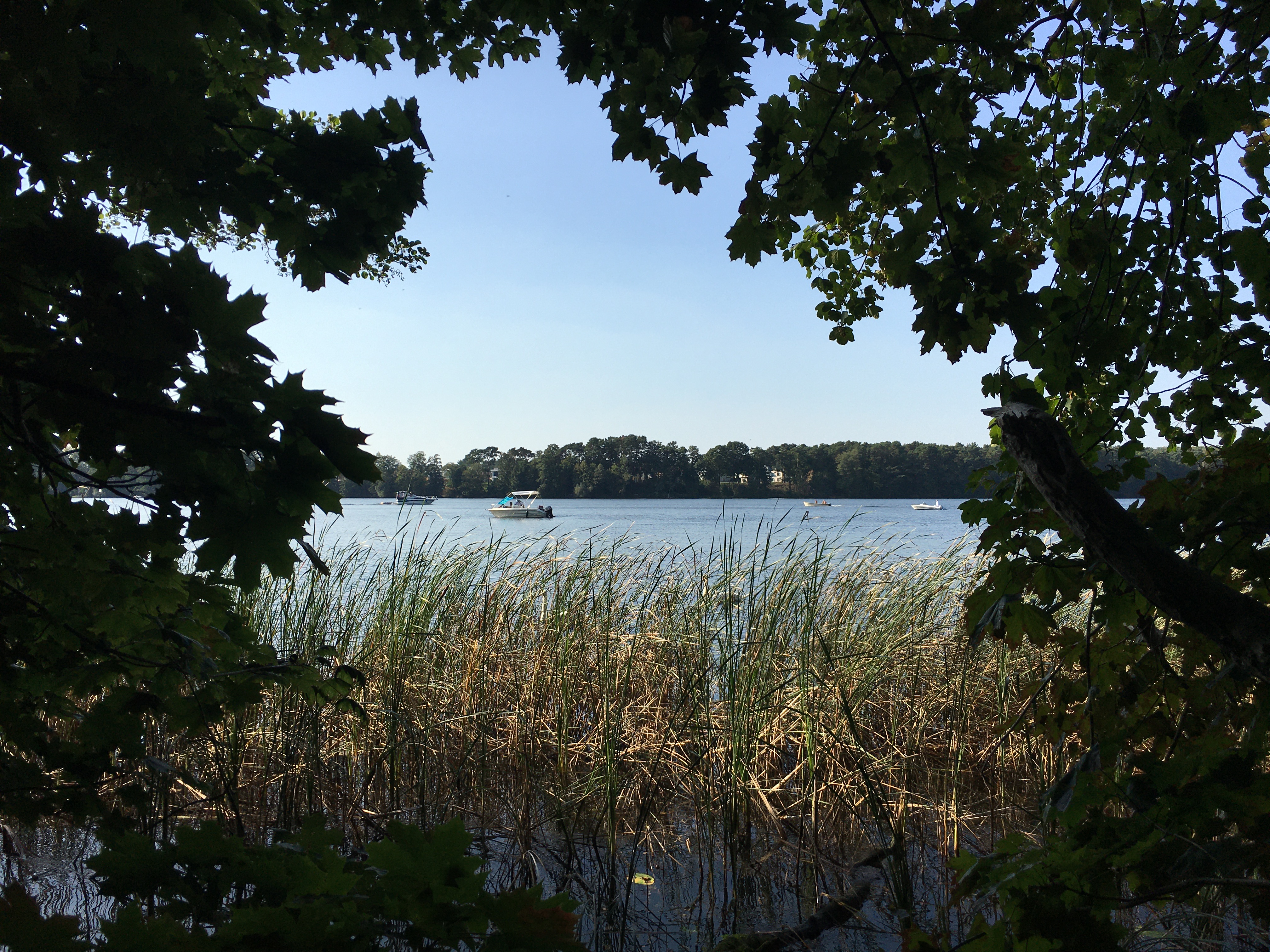 Blick auf den Flakensee