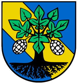 Wappen Stadt Erkner
