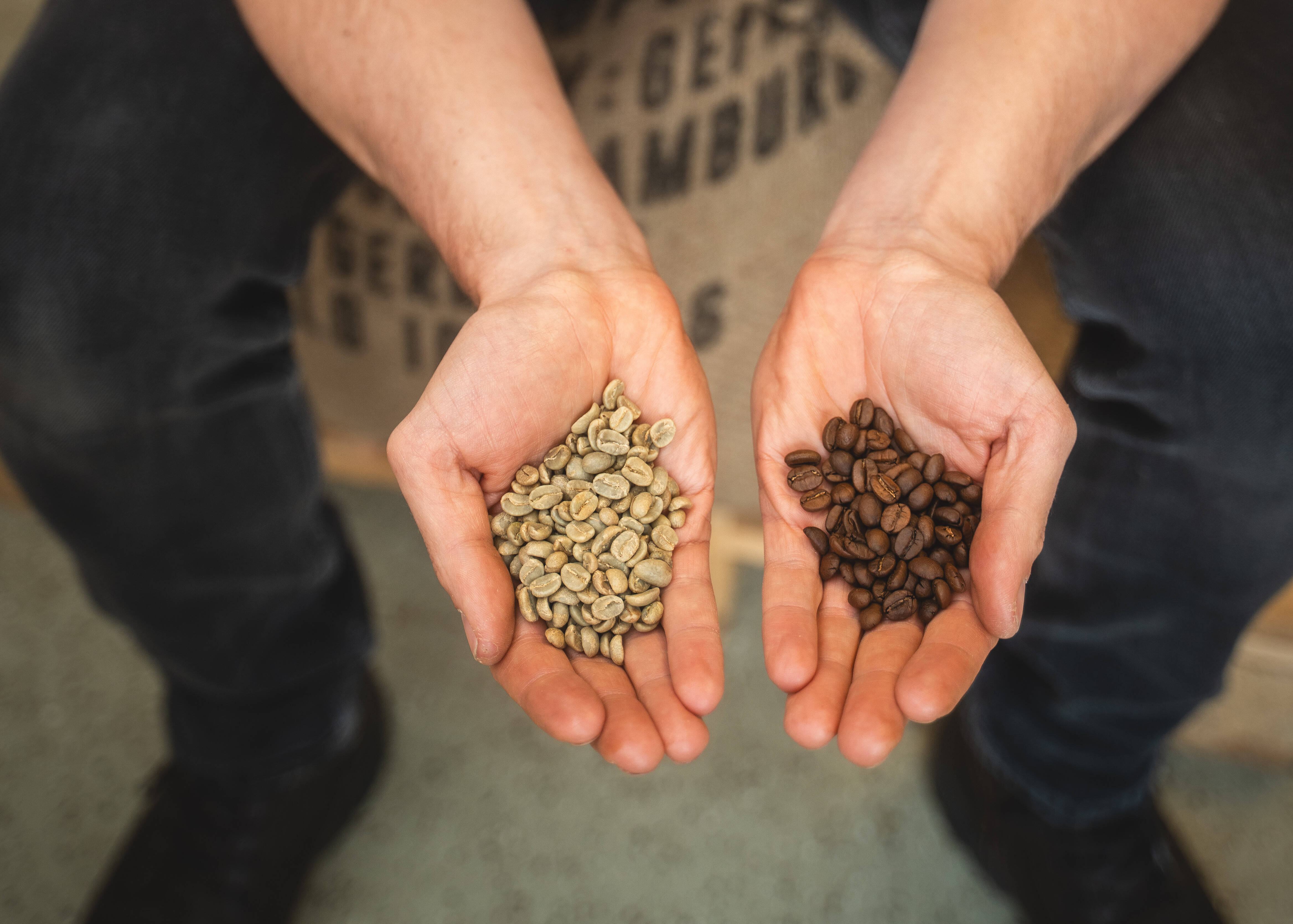 Dekaffee I ungerösteter und gerösteter Kaffee