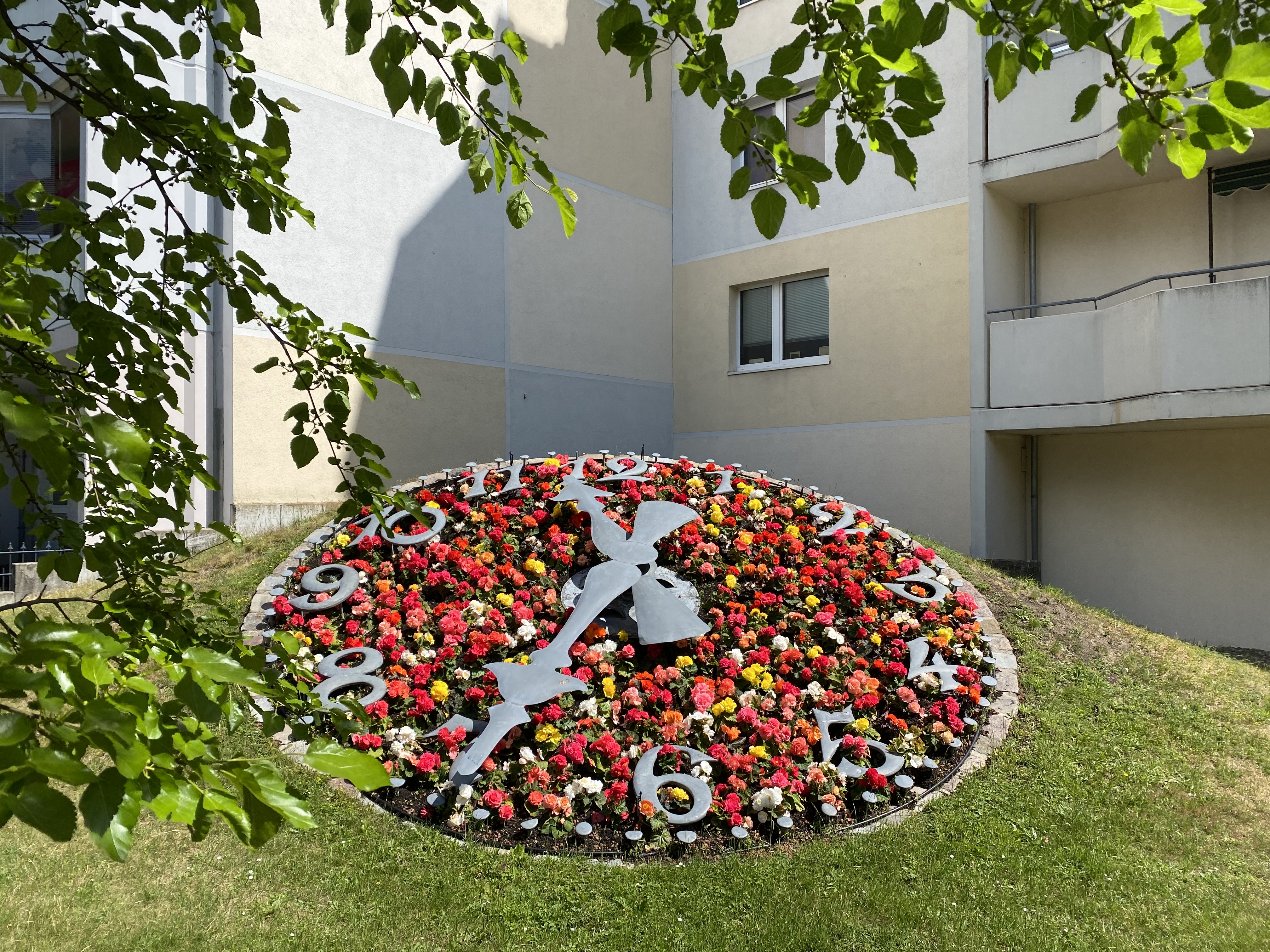 Blick auf bunt-bepflanzte Blumenuhr